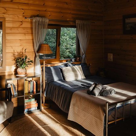Berzu Namelis - Birch Cabin Kutsyuny Kültér fotó