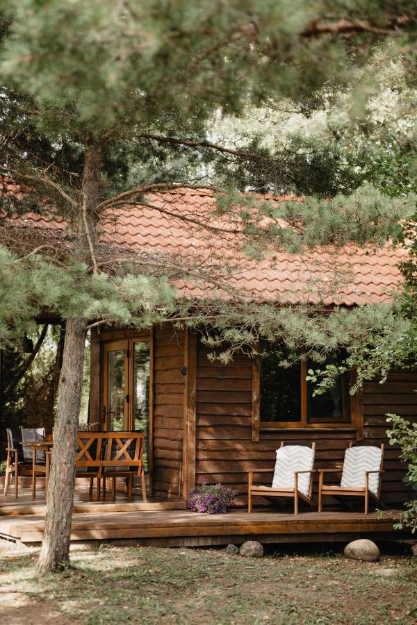 Berzu Namelis - Birch Cabin Kutsyuny Kültér fotó
