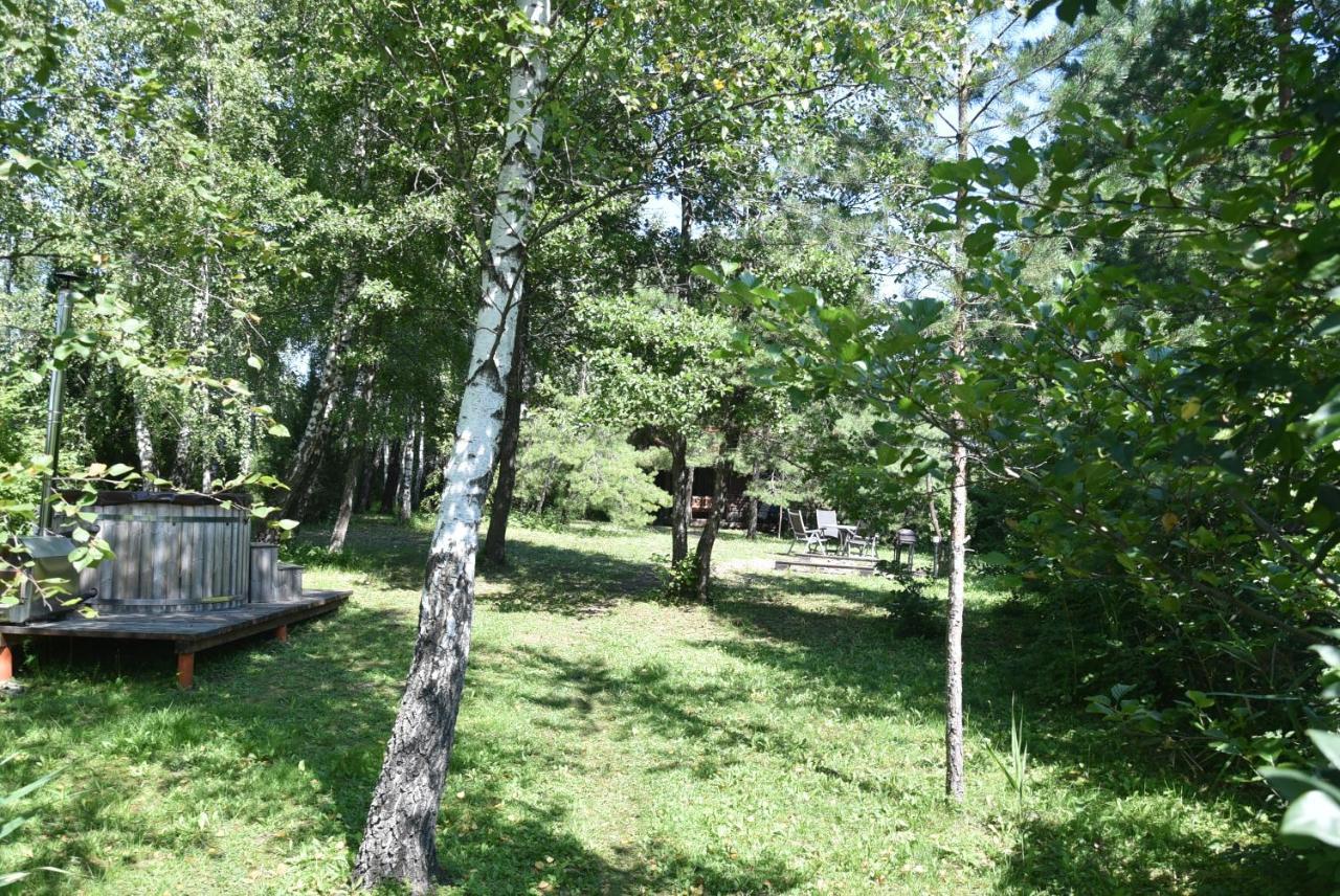 Berzu Namelis - Birch Cabin Kutsyuny Kültér fotó