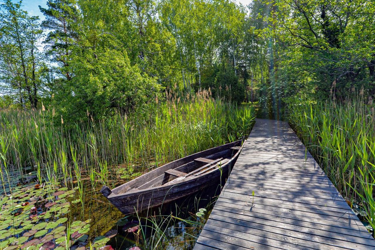 Berzu Namelis - Birch Cabin Kutsyuny Kültér fotó