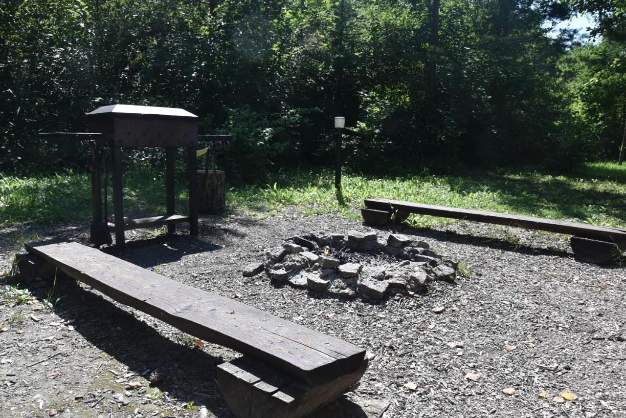 Berzu Namelis - Birch Cabin Kutsyuny Kültér fotó
