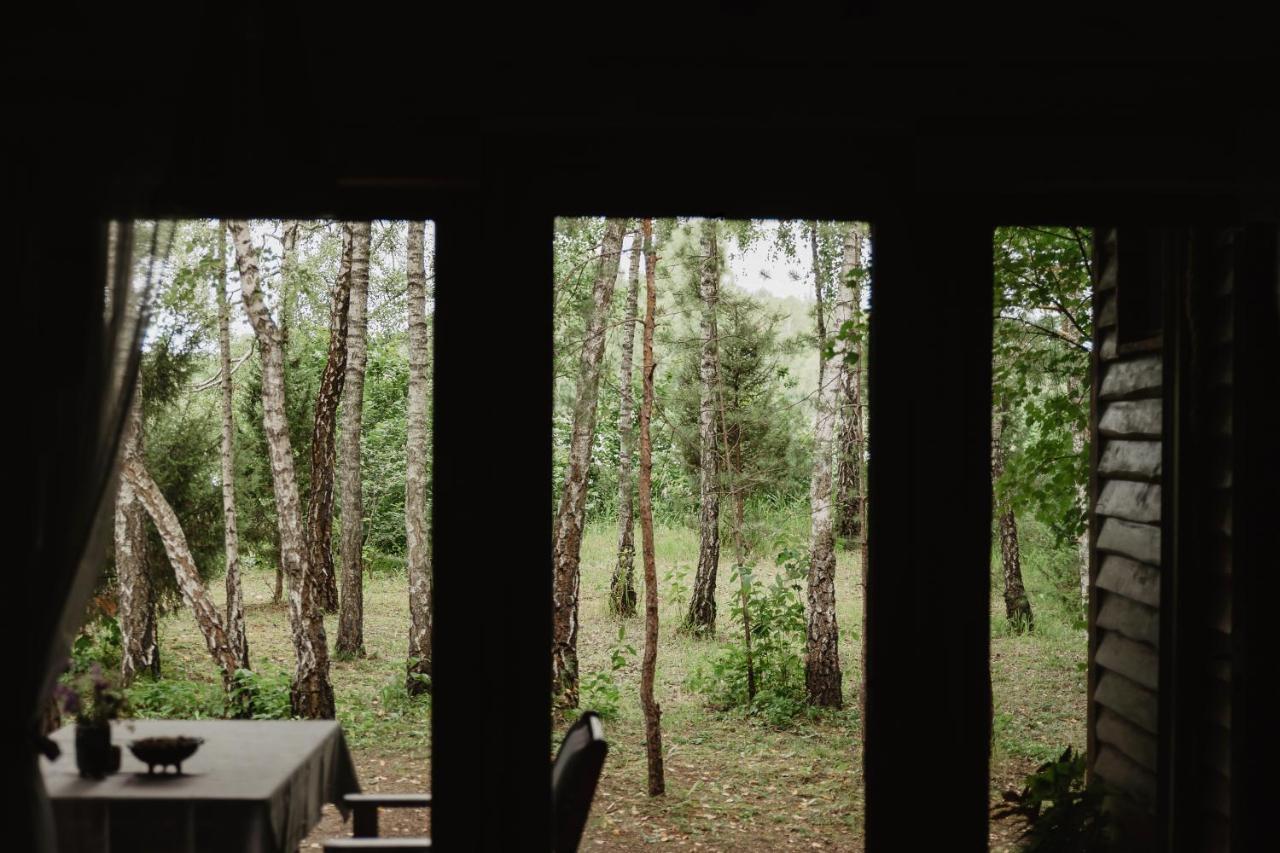 Berzu Namelis - Birch Cabin Kutsyuny Kültér fotó