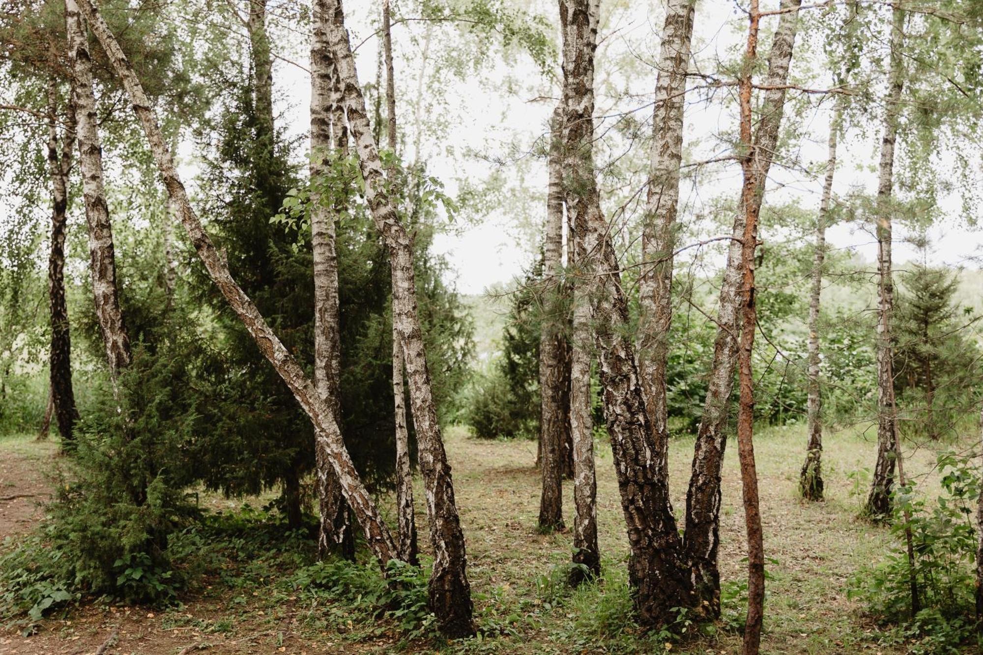 Berzu Namelis - Birch Cabin Kutsyuny Kültér fotó