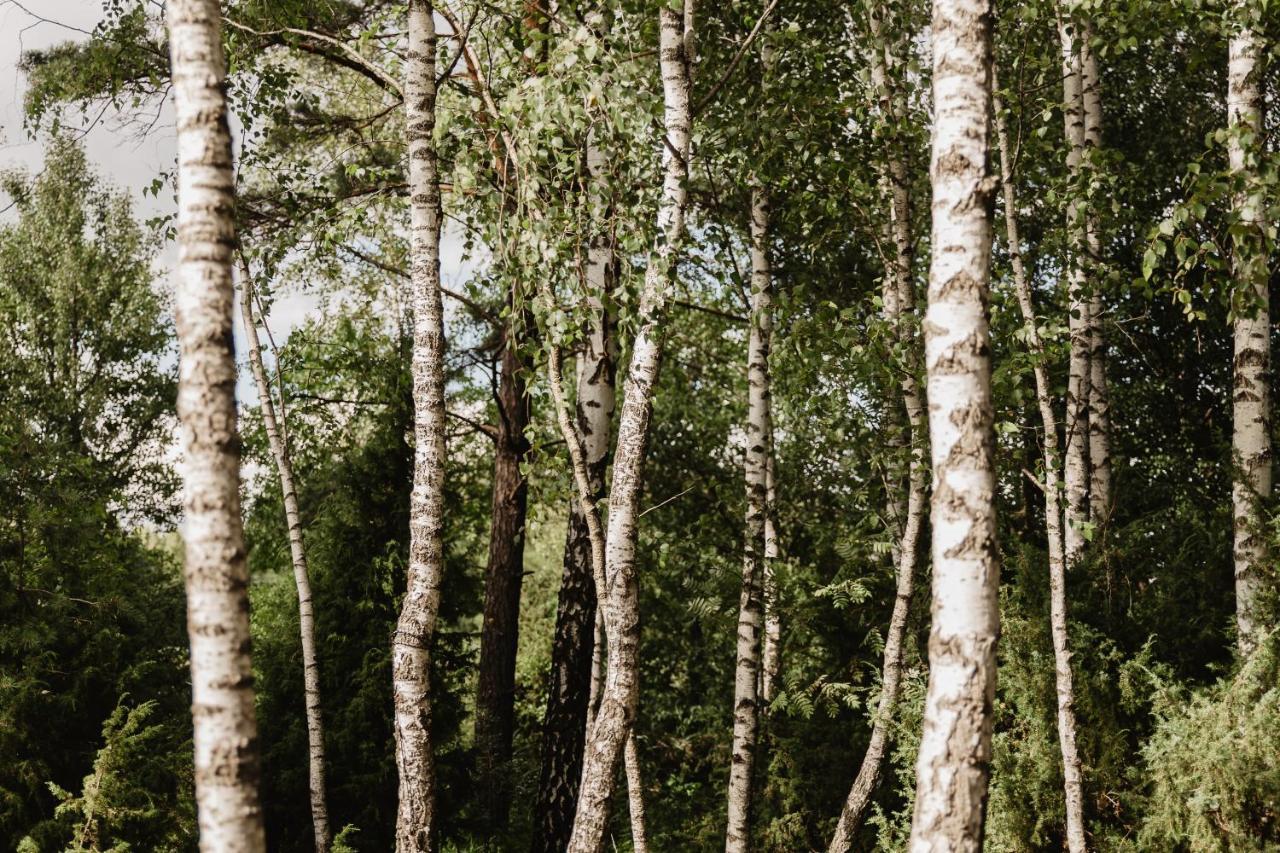 Berzu Namelis - Birch Cabin Kutsyuny Kültér fotó