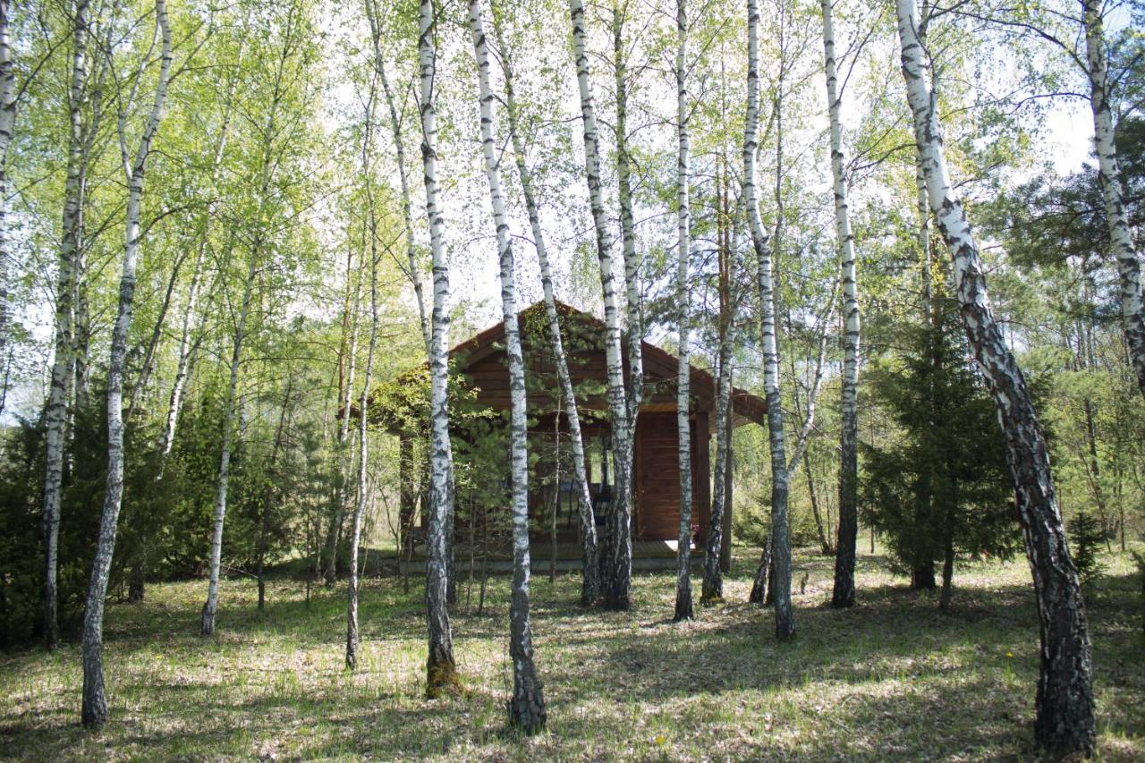 Berzu Namelis - Birch Cabin Kutsyuny Kültér fotó